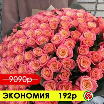 101 РОЗА МИСС ПИГГИ 70 СМ 101 РОЗА МИСС ПИГГИ 70 СМ