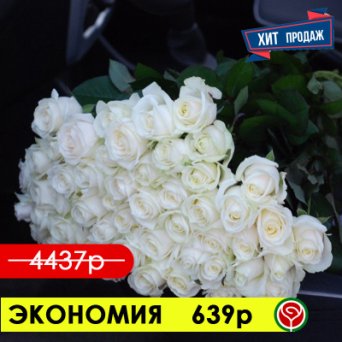 51 БЕЛАЯ РОЗА АВАЛАНЖ 60 СМ 51 БЕЛАЯ РОЗА АВАЛАНЖ 60 СМ