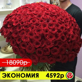 201 КРАСНАЯ РОЗА РЕД НАОМИ 70 СМ 201 КРАСНАЯ РОЗА РЕД НАОМИ 70 СМ