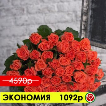 51 РОЗА ВАУ 70 СМ 51 РОЗА ВАУ 70 СМ