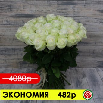 51 БЕЛАЯ РОЗА АВАЛАНЖ 50 СМ 51 БЕЛАЯ РОЗА АВАЛАНЖ 50 СМ