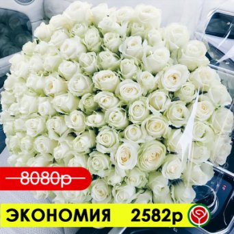 101 БЕЛАЯ РОЗА АВАЛАНШ 60 СМ 101 БЕЛАЯ РОЗА АВАЛАНШ 60 СМ