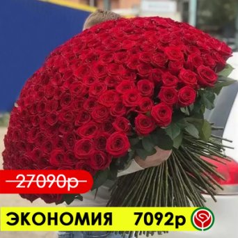 301 КРАСНАЯ РОЗА РЕД НАОМИ 70СМ 301 КРАСНАЯ РОЗА РЕД НАОМИ 70СМ
