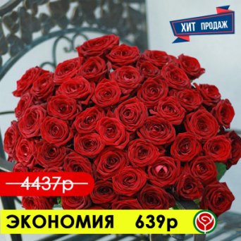 51 КРАСНАЯ РОЗА РЕД НАОМИ 60 СМ 51 КРАСНАЯ РОЗА РЕД НАОМИ 60 СМ