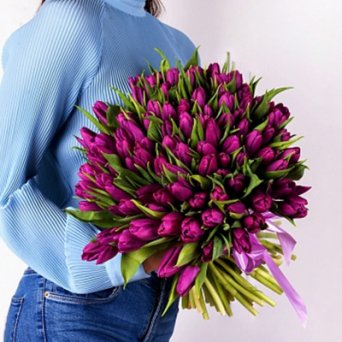 101 ФИОЛЕТОВЫЙ ТЮЛЬПАН 101 ФИОЛЕТОВЫЙ ТЮЛЬПАН