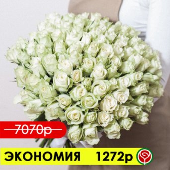101 РОЗА АВАЛАНШ 50 СМ 101 РОЗА АВАЛАНШ 50 СМ