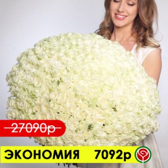 301 БЕЛАЯ РОЗА АВАЛАНШ 70СМ 301 БЕЛАЯ РОЗА АВАЛАНШ 70СМ
