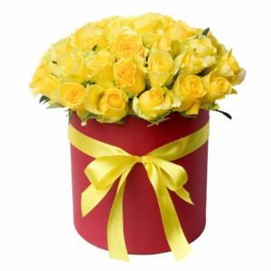 51 РОЗА ИЛИОС 51 РОЗА ИЛИОС