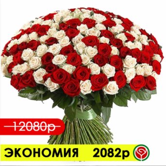 151 КРАСНАЯ И БЕЛАЯ РОЗЫ 60 СМ 151 КРАСНАЯ И БЕЛАЯ РОЗЫ 60 СМ
