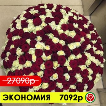 301 КРАСНАЯ И БЕЛАЯ РОЗЫ 70СМ 301 КРАСНАЯ И БЕЛАЯ РОЗЫ 70СМ