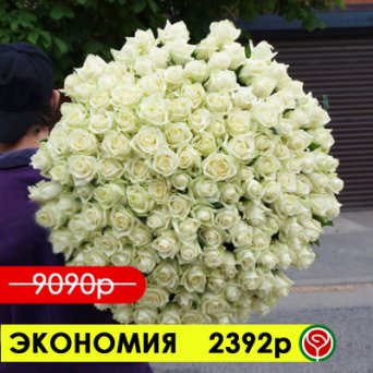 101 БЕЛАЯ РОЗА АВАЛАНШ 70 СМ 101 БЕЛАЯ РОЗА АВАЛАНШ 70 СМ