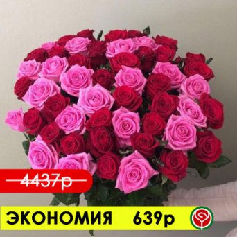 51 КРАСНАЯ И РОЗОВАЯ РОЗЫ 60 СМ 51 КРАСНАЯ И РОЗОВАЯ РОЗЫ 60 СМ
