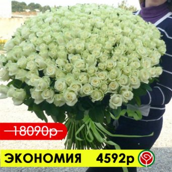 201 БЕЛАЯ РОЗА АВАЛАНШ 70 СМ 201 БЕЛАЯ РОЗА АВАЛАНШ 70 СМ