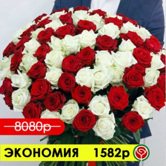 101 КРАСНАЯ И БЕЛАЯ РОЗЫ 60 СМ 101 КРАСНАЯ И БЕЛАЯ РОЗЫ 60 СМ