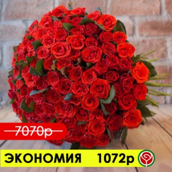 101 РОЗА ЭЛЬ ТОРО 50 СМ 101 РОЗА ЭЛЬ ТОРО 50 СМ