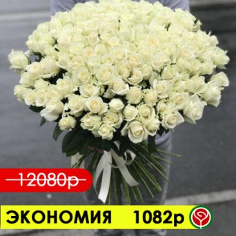 151 БЕЛАЯ РОЗА АВАЛАНШ 60 СМ 151 БЕЛАЯ РОЗА АВАЛАНШ 60 СМ