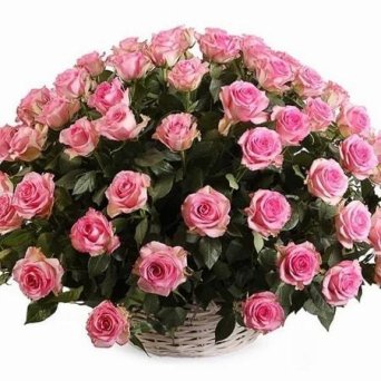 75 РОЗ АКВА 75 РОЗ АКВА