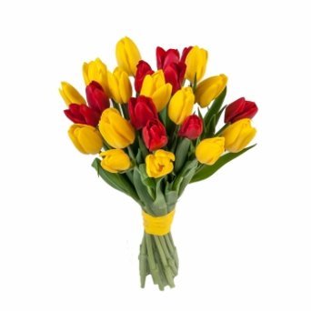 25 МИКС 1 25 МИКС 1