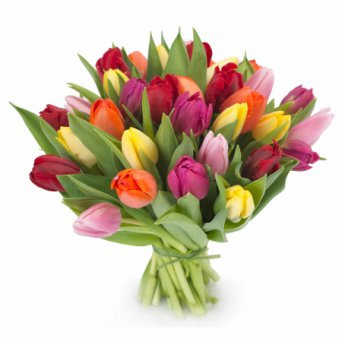 25 МИКС 2 25 МИКС 2