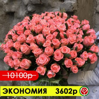 101 РОЗА АННА КАРИНА 80 СМ 101 РОЗА АННА КАРИНА 80 СМ