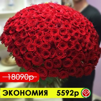 201 РОЗА РЕД НАОМИ 70 СМ 201 РОЗА РЕД НАОМИ 70 СМ
