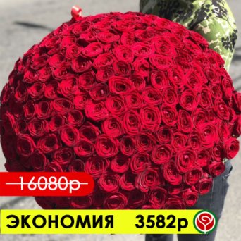 201 КРАСНАЯ РОЗА РЕД НАОМИ 60 СМ 201 КРАСНАЯ РОЗА РЕД НАОМИ 60 СМ