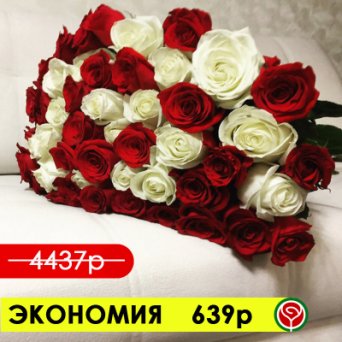 51 КРАСНАЯ И БЕЛАЯ РОЗЫ 60 СМ 51 КРАСНАЯ И БЕЛАЯ РОЗЫ 60 СМ