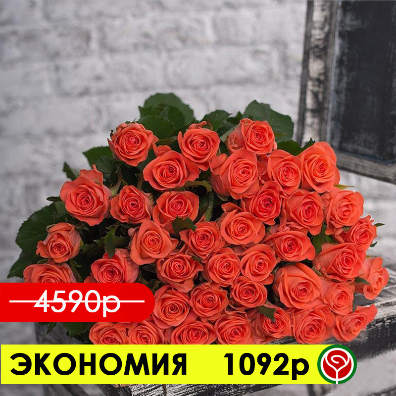 51 РОЗА ВАУ 60 СМ 51 РОЗА ВАУ 60 СМ