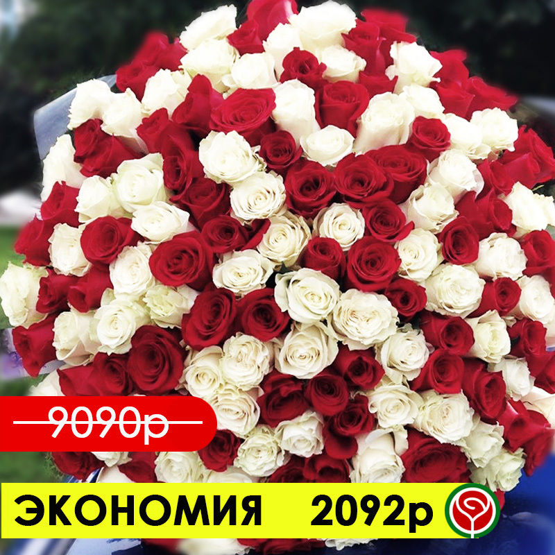 101 КРАСНАЯ И БЕЛАЯ РОЗЫ 70 СМ 101 КРАСНАЯ И БЕЛАЯ РОЗЫ 70 СМ