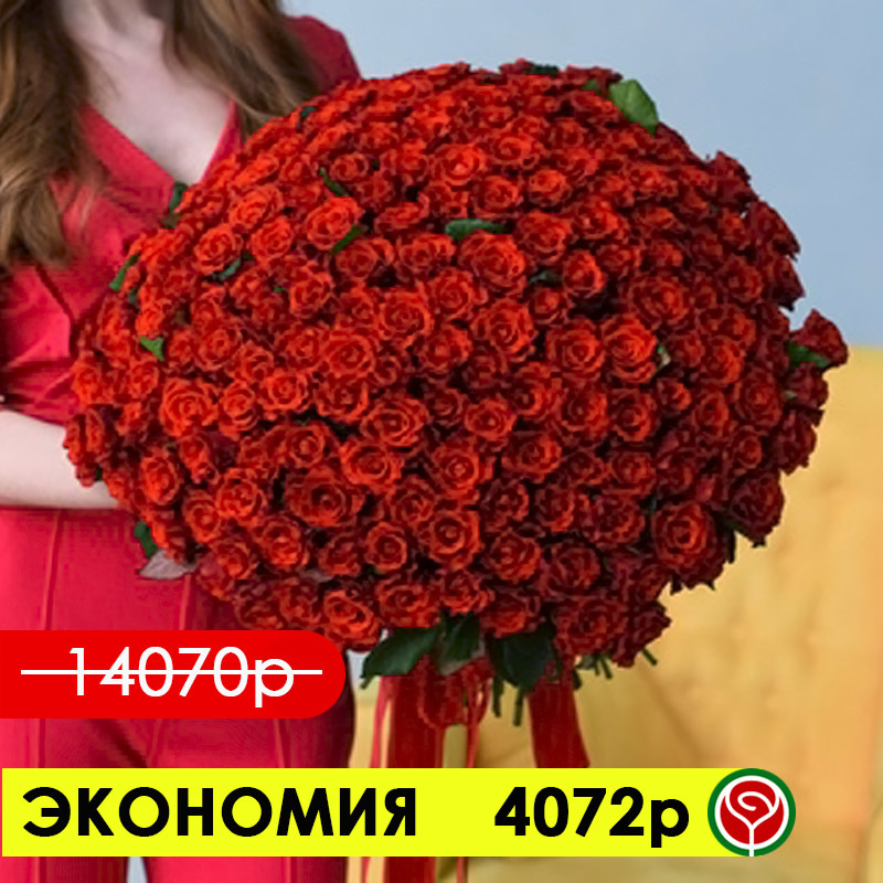 201 АЛАЯ РОЗА ЭЛЬ ТОРО 50 СМ 201 АЛАЯ РОЗА ЭЛЬ ТОРО 50 СМ