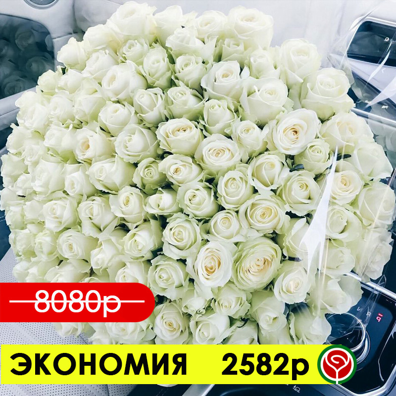 101 РОЗА АВАЛАНШ 60 СМ 101 РОЗА АВАЛАНШ 60 СМ
