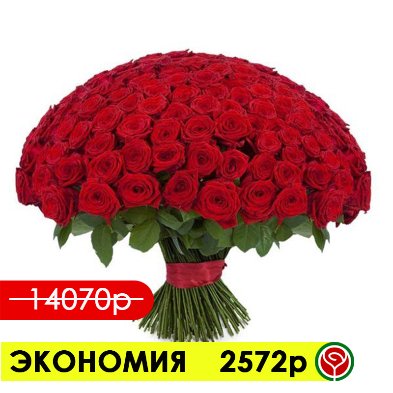 201 КРАСНАЯ РОЗА РЕД НАОМИ 50 СМ 201 КРАСНАЯ РОЗА РЕД НАОМИ 50 СМ