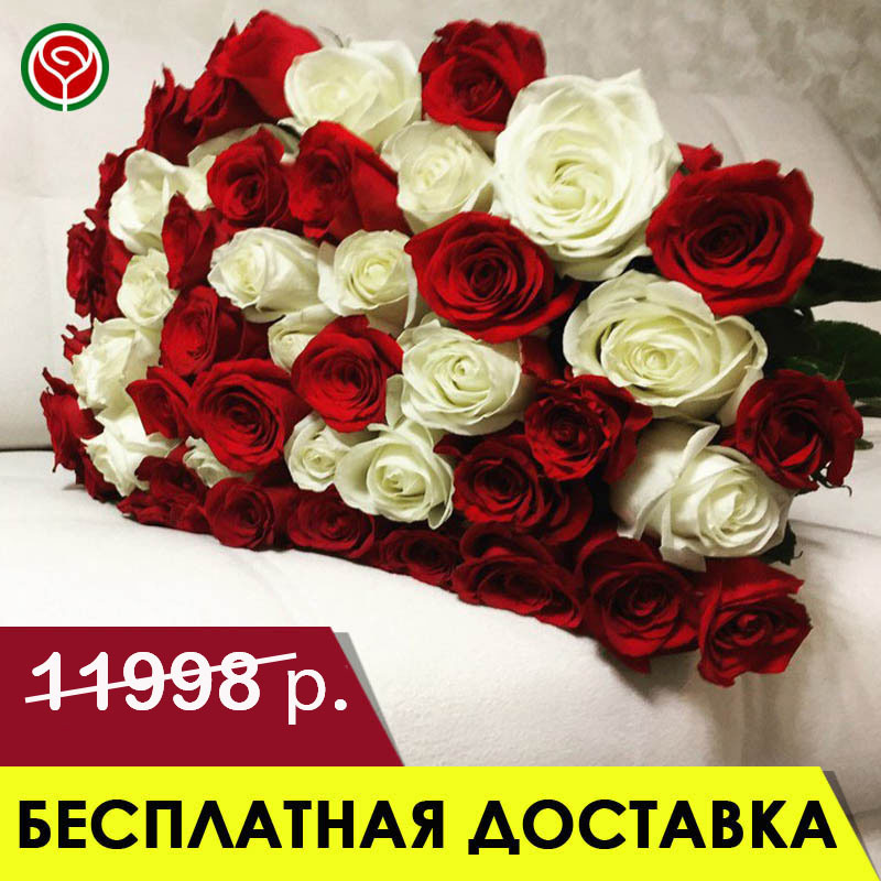51 КРАСНАЯ И БЕЛАЯ РОЗЫ 60 СМ 51 КРАСНАЯ И БЕЛАЯ РОЗЫ 60 СМ
