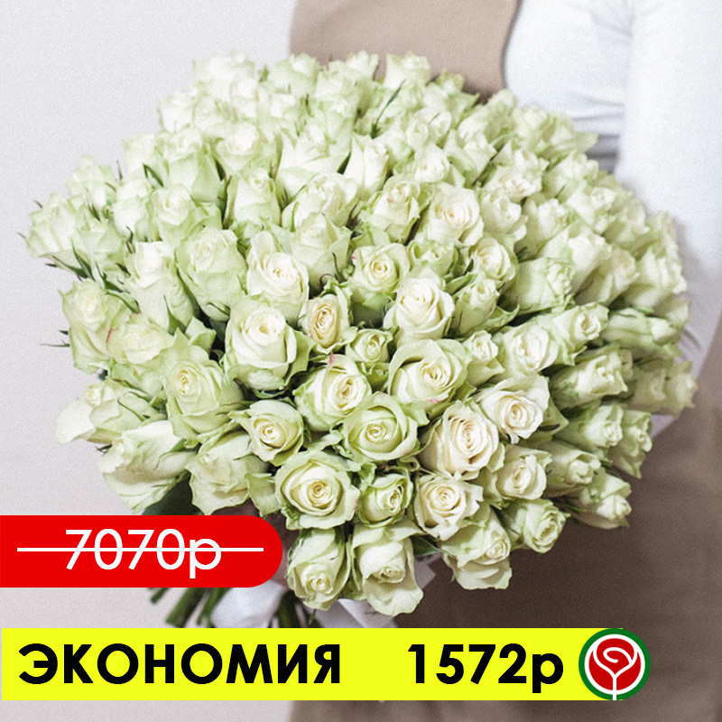 101 БЕЛАЯ РОЗА АВАЛАНШ 50 СМ 101 БЕЛАЯ РОЗА АВАЛАНШ 50 СМ