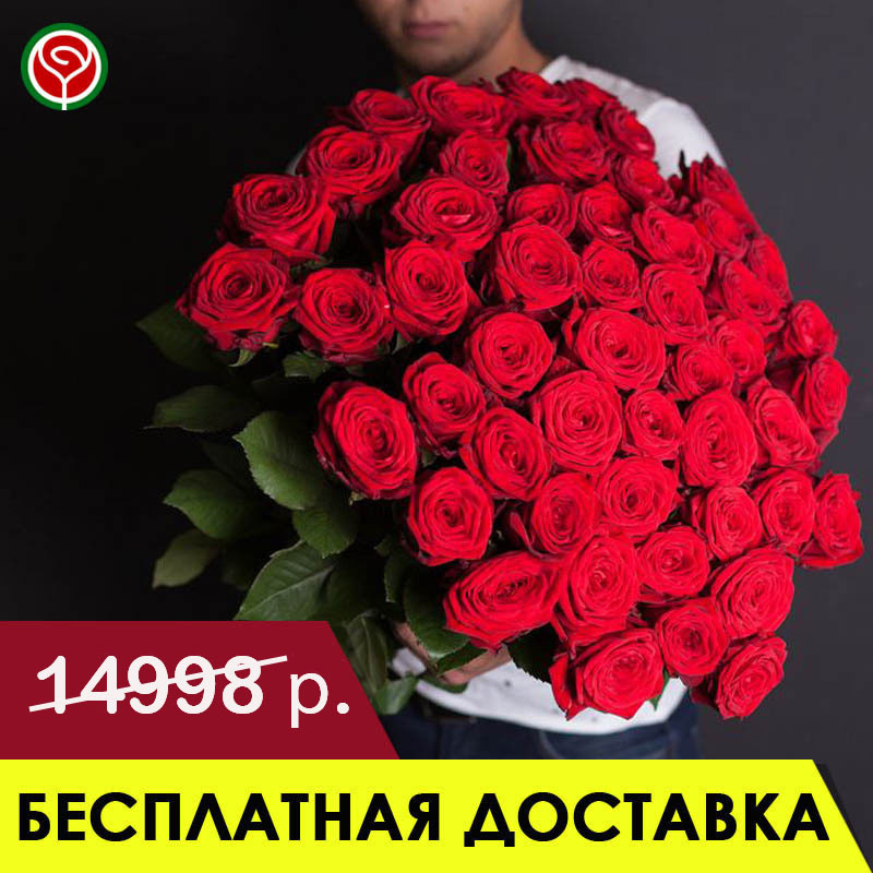51 КРАСНАЯ РОЗА 80 СМ 51 КРАСНАЯ РОЗА 80 СМ