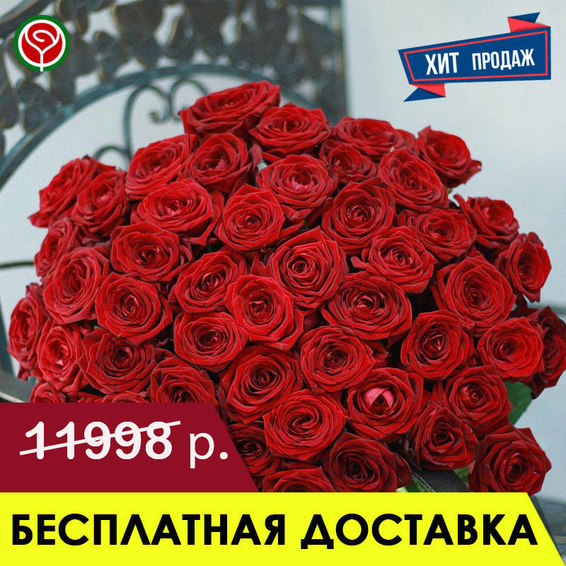 51 КРАСНАЯ РОЗА 60 СМ 51 КРАСНАЯ РОЗА 60 СМ