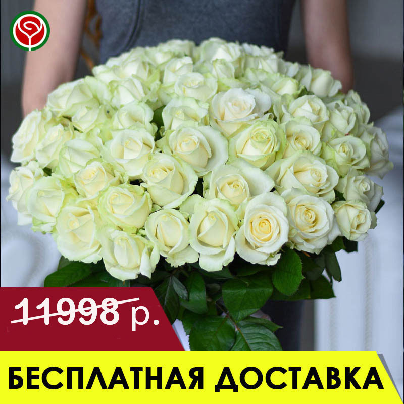 51 БЕЛАЯ РОЗА 60 СМ 51 БЕЛАЯ РОЗА 60 СМ
