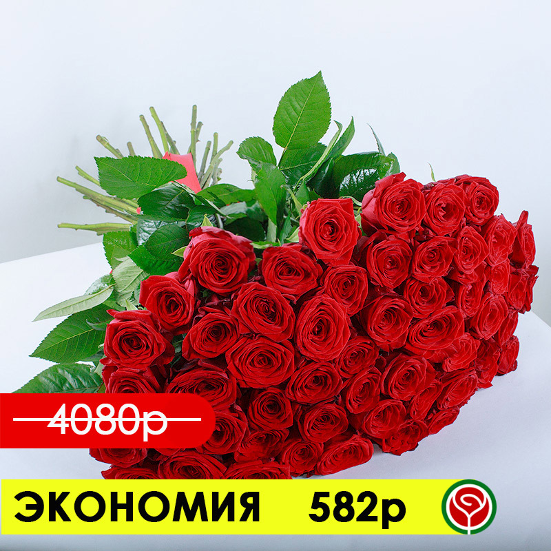51 РОЗА РЕД НАОМИ 50 СМ 51 РОЗА РЕД НАОМИ 50 СМ