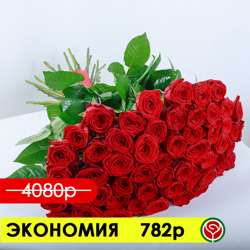 51 РОЗА РЕД НАОМИ 50 СМ 51 РОЗА РЕД НАОМИ 50 СМ