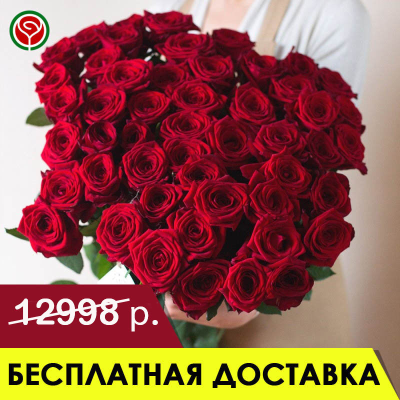 51 КРАСНАЯ РОЗА 70 СМ 51 КРАСНАЯ РОЗА 70 СМ