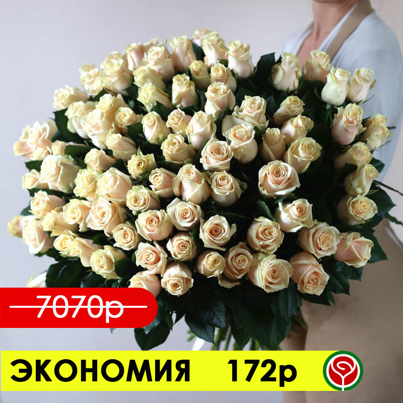 101 ЧАЙНАЯ РОЗА ТАЛЕА 50 СМ 101 ЧАЙНАЯ РОЗА ТАЛЕА 50 СМ