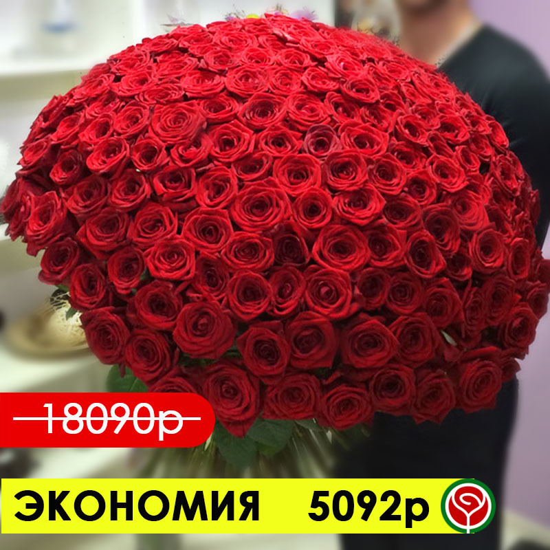201 РОЗА РЕД НАОМИ 70 СМ 201 РОЗА РЕД НАОМИ 70 СМ
