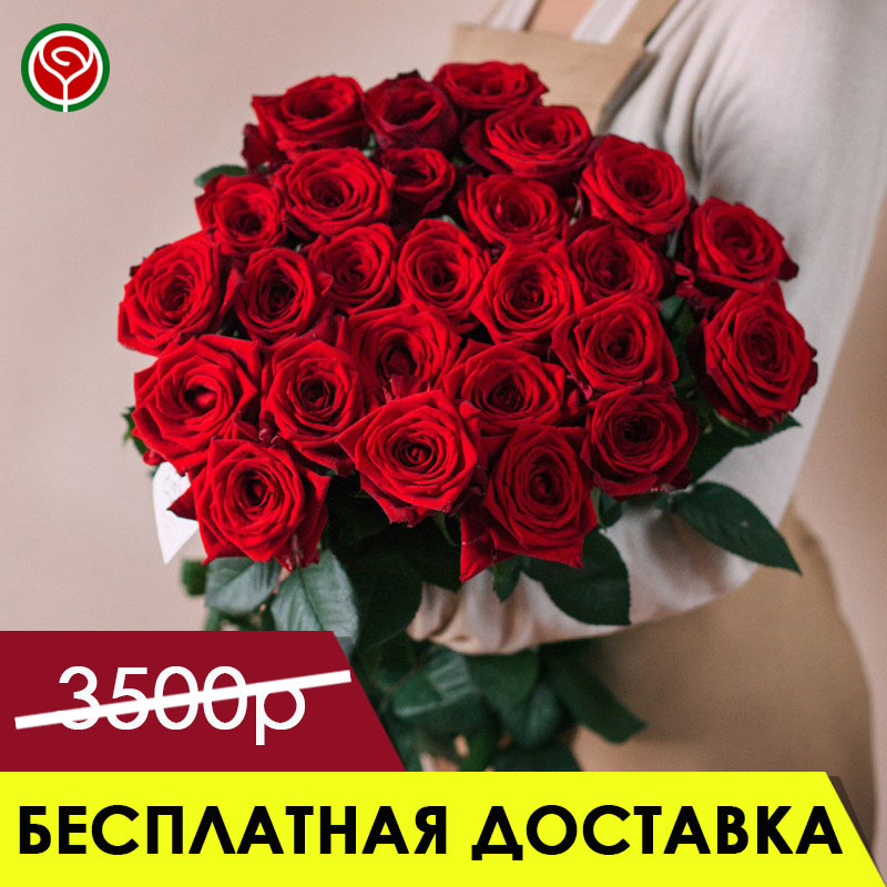 25 РОЗ РЕД НАОМИ 70 СМ 25 РОЗ РЕД НАОМИ 70 СМ