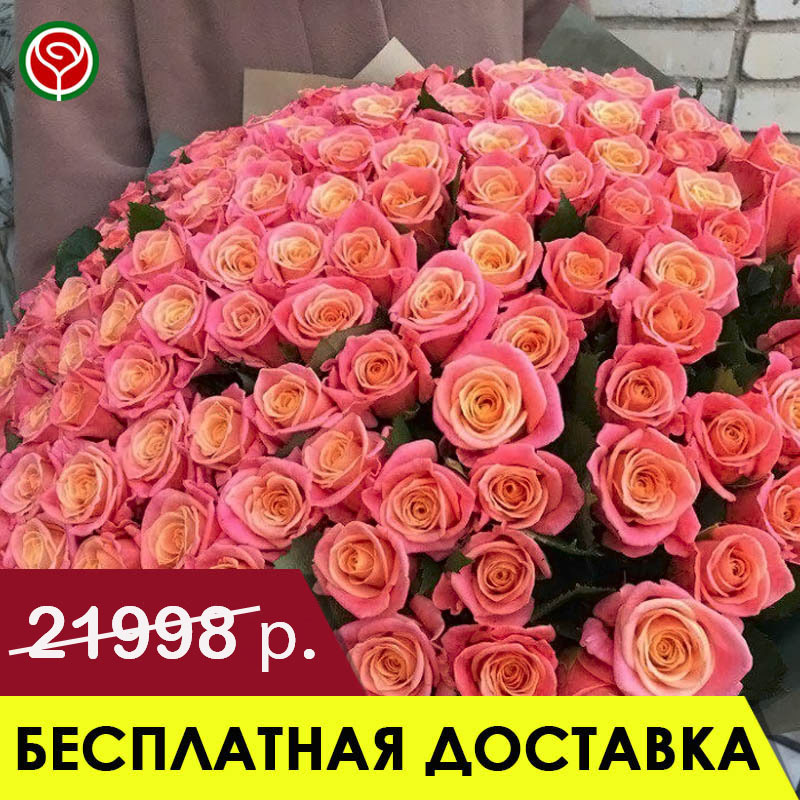 101 КОРАЛЛОВАЯ РОЗА 60 СМ 101 КОРАЛЛОВАЯ РОЗА 60 СМ