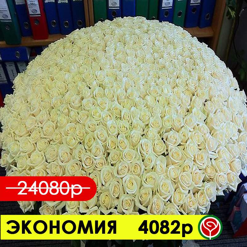301 БЕЛАЯ РОЗА АВАЛАНШ 60 СМ 301 БЕЛАЯ РОЗА АВАЛАНШ 60 СМ