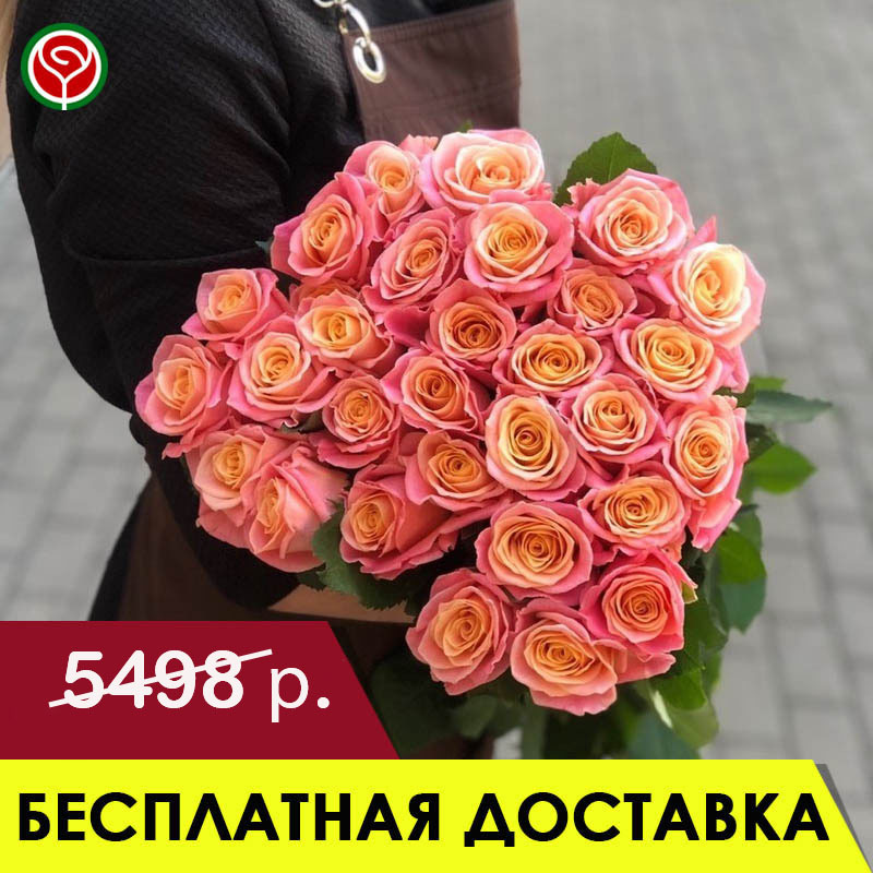 21 КОРАЛЛОВАЯ РОЗА 60 СМ 21 КОРАЛЛОВАЯ РОЗА 60 СМ