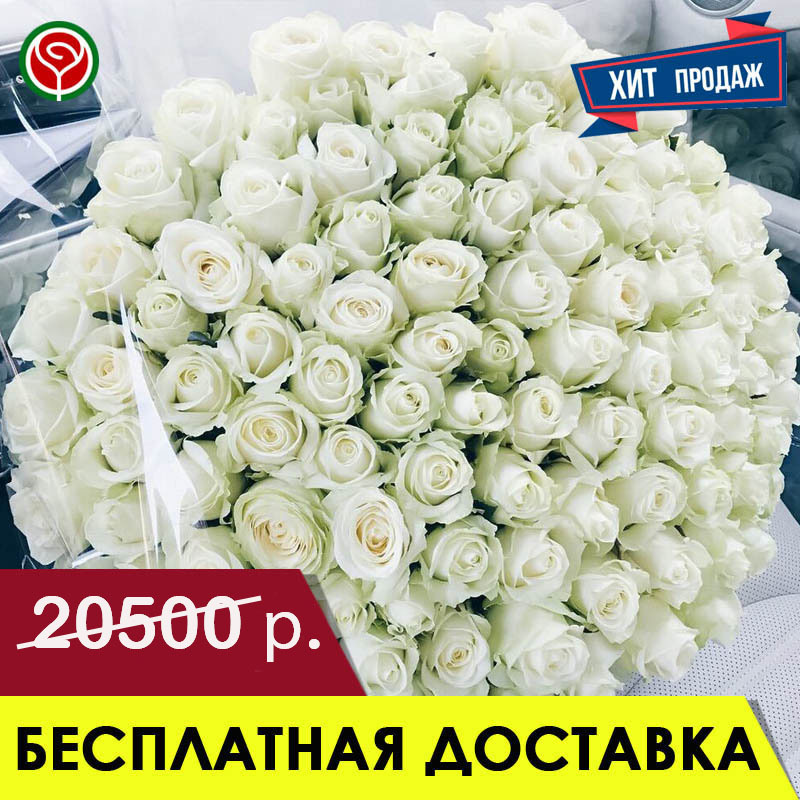 101 БЕЛАЯ РОЗА 60 СМ 101 БЕЛАЯ РОЗА 60 СМ