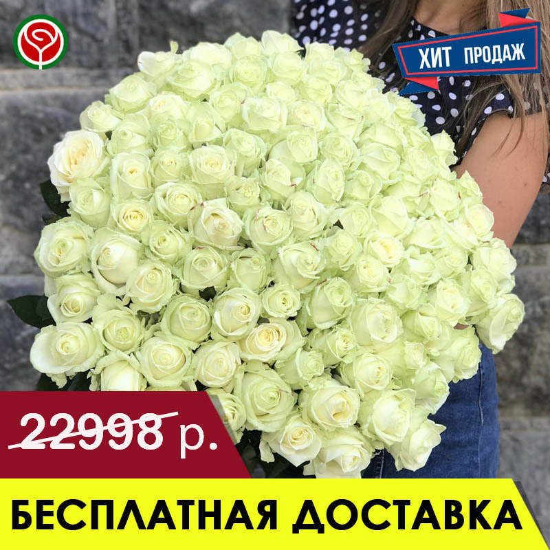 101 БЕЛАЯ РОЗА 70 СМ 101 БЕЛАЯ РОЗА 70 СМ