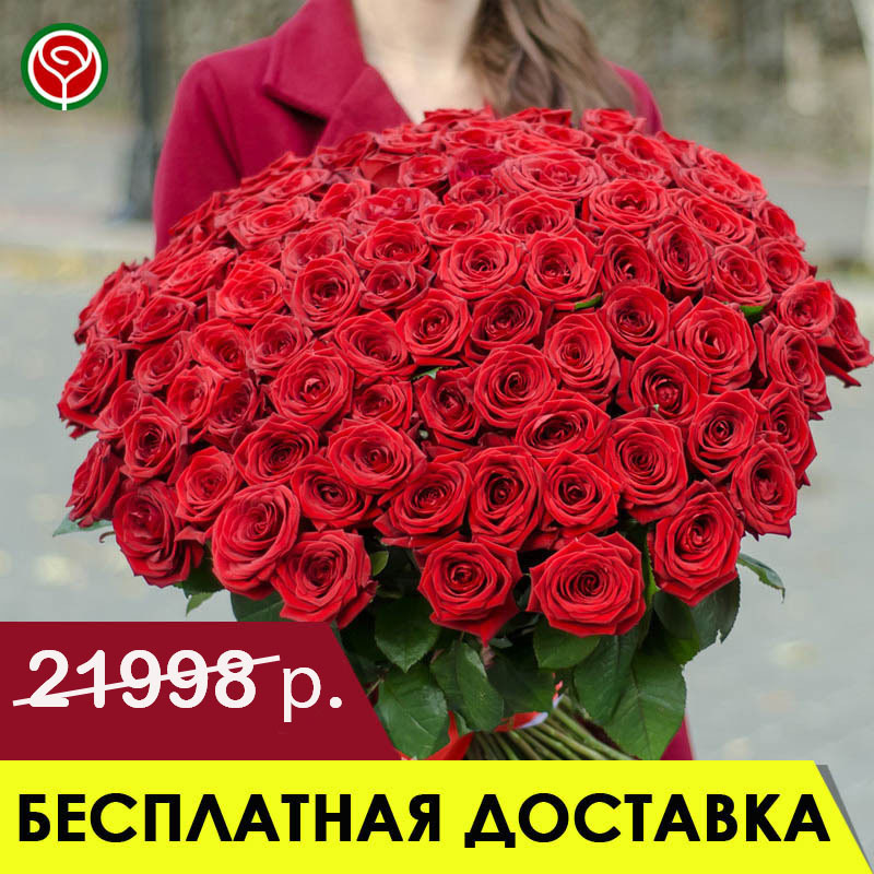 101 КРАСНАЯ РОЗА  60 СМ 101 КРАСНАЯ РОЗА  60 СМ