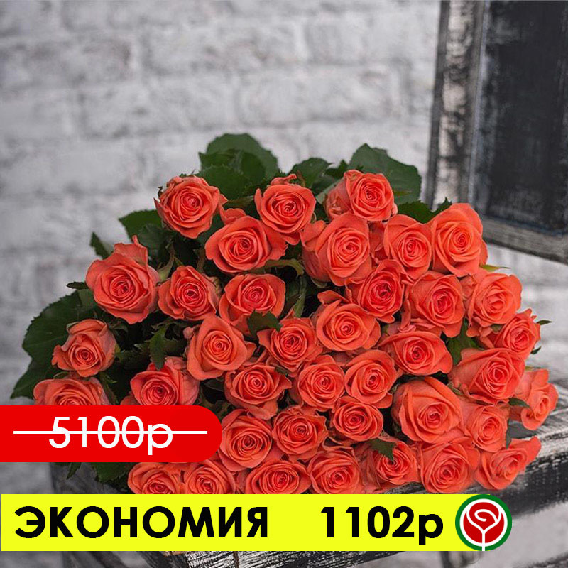 51 РОЗА ВАУ 60 СМ 51 РОЗА ВАУ 60 СМ